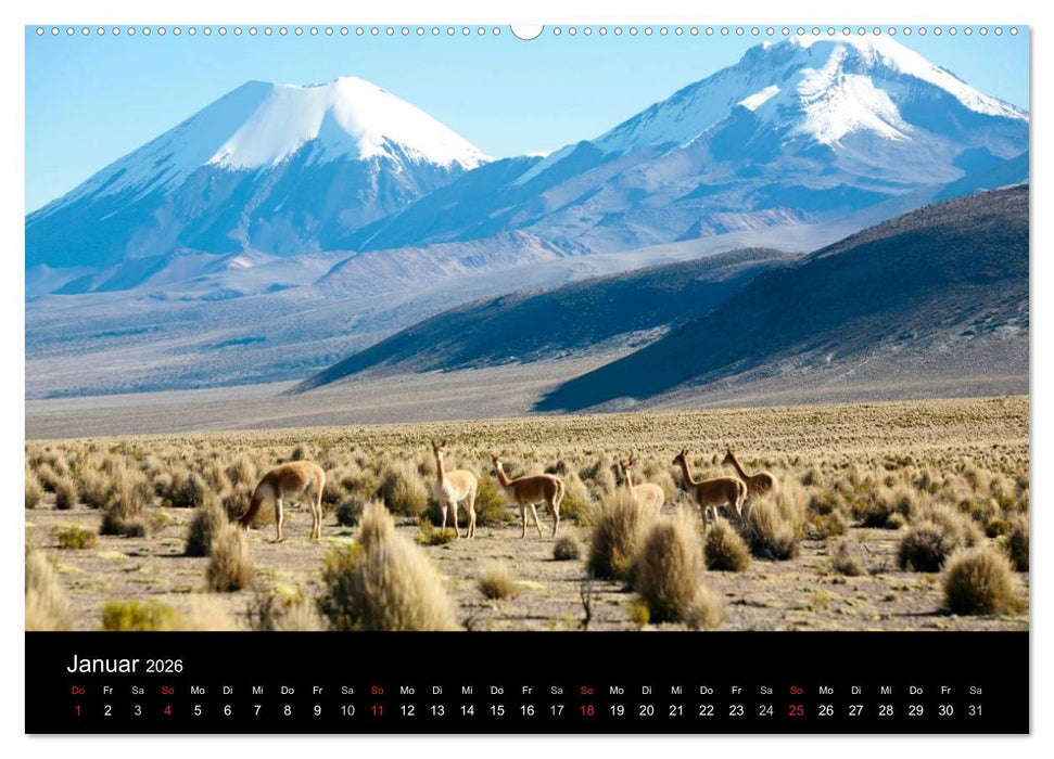 Bolivien (CALVENDO Wandkalender 2026)