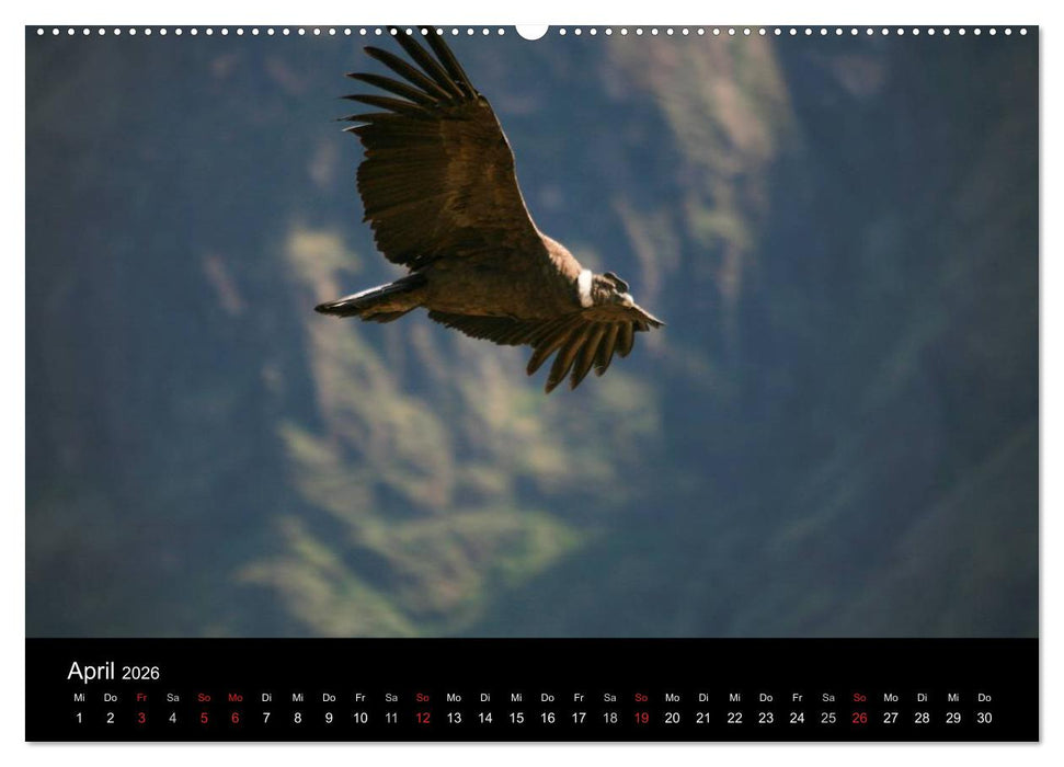 Machu Picchu - Peru (CALVENDO Wandkalender 2026)