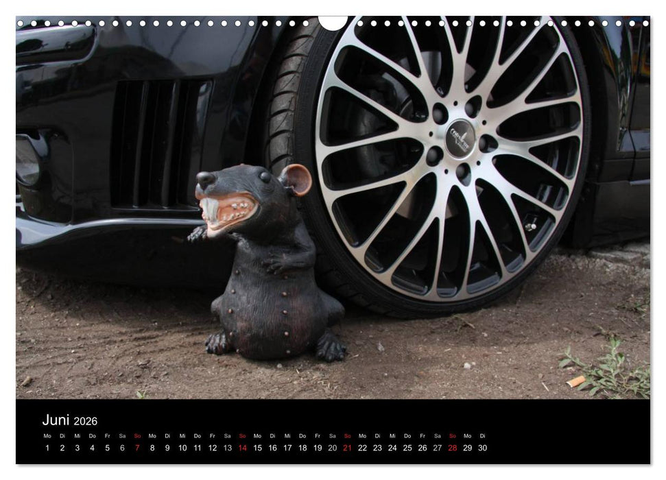 Burnout am Wörthersee (CALVENDO Wandkalender 2026)