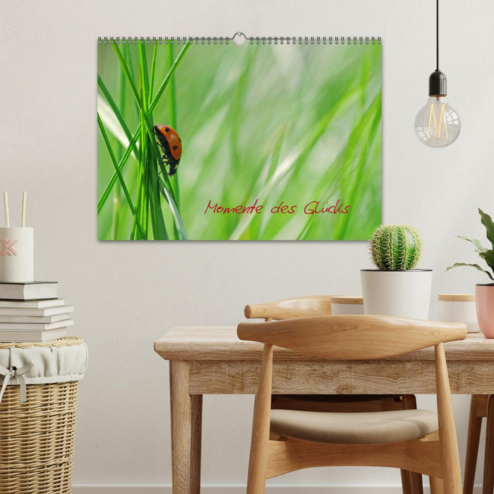 Momente des Glücks (CALVENDO Wandkalender 2026)