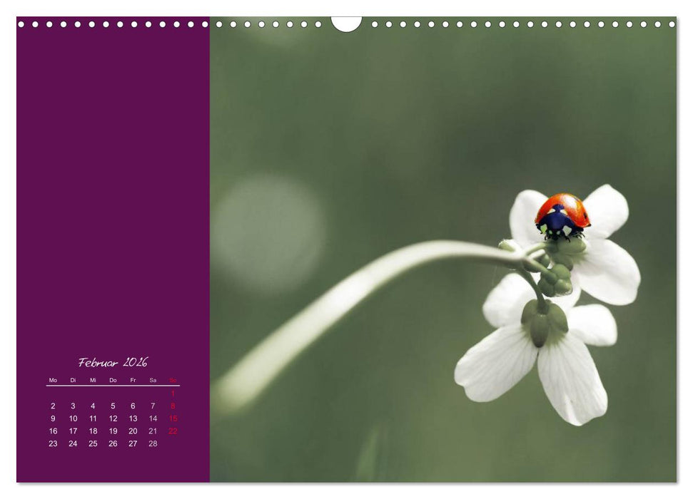 Momente des Glücks (CALVENDO Wandkalender 2026)