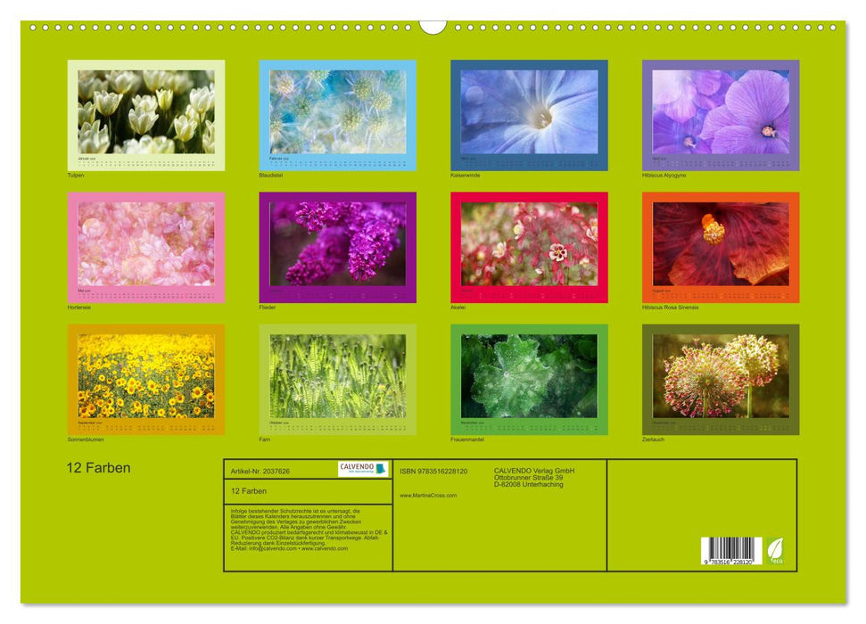12 Farben (CALVENDO Wandkalender 2026)