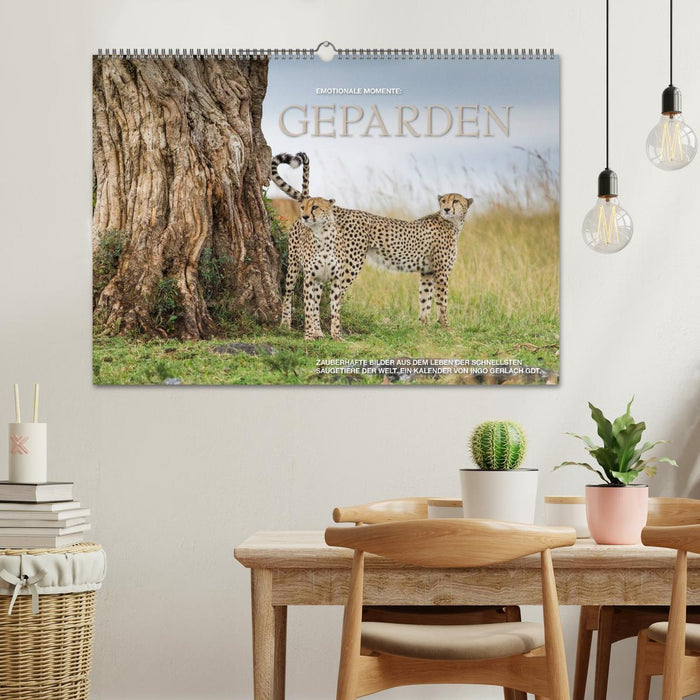Emotionale Momente: Geparden (CALVENDO Wandkalender 2026)