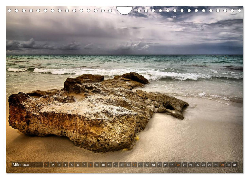 Formentera - Karibik im Mittelmeer (CALVENDO Wandkalender 2026)