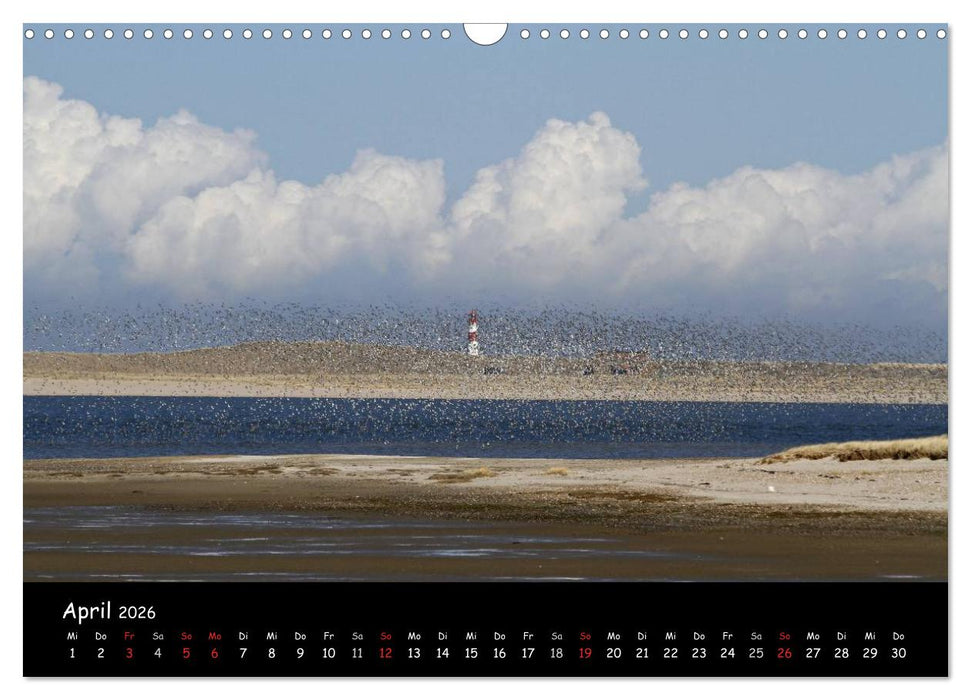 Sylt (CALVENDO Wandkalender 2026)