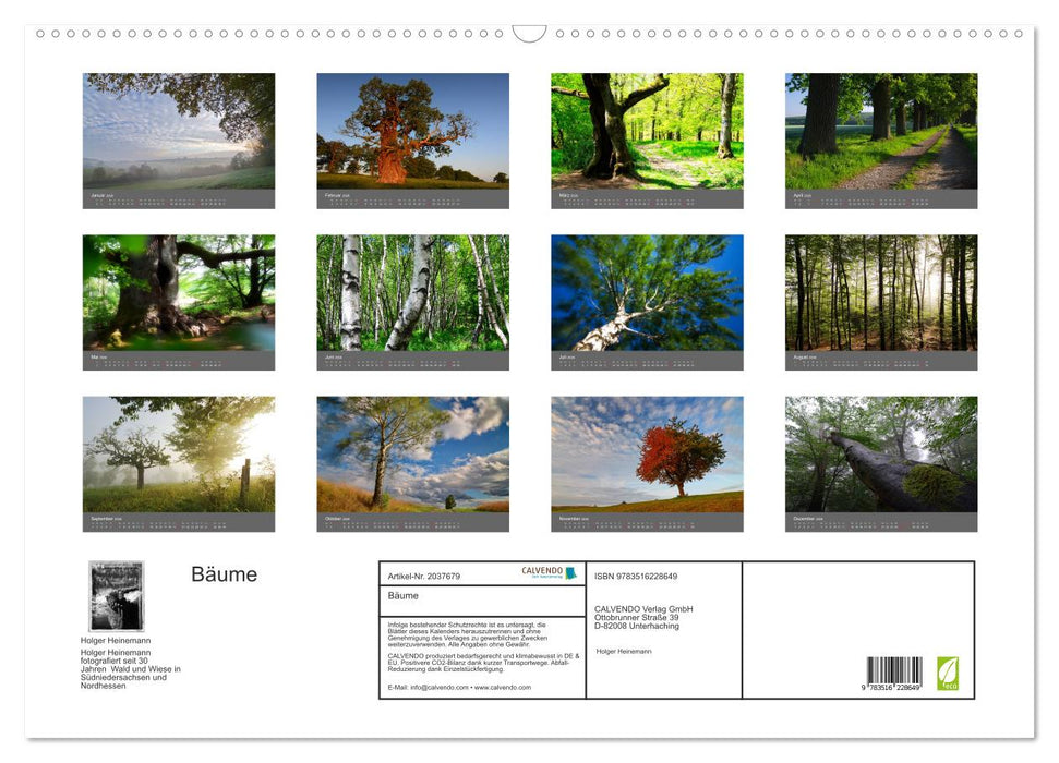Bäume (CALVENDO Wandkalender 2026)