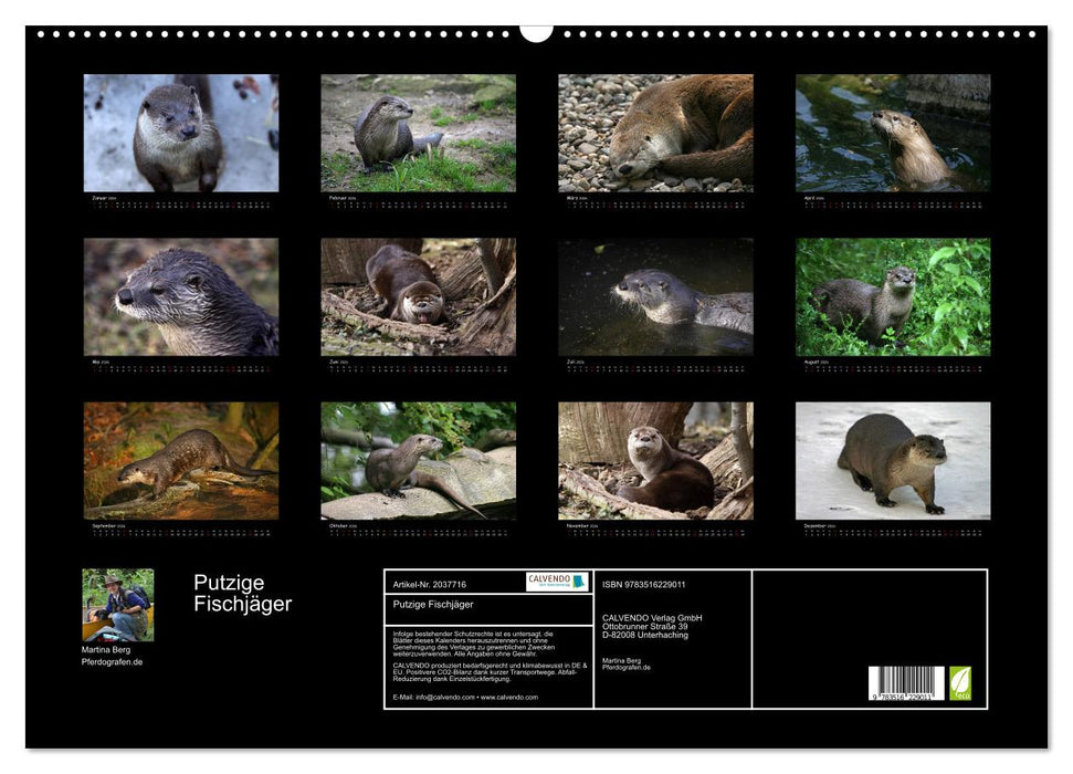 Putzige Fischjäger (CALVENDO Wandkalender 2026)