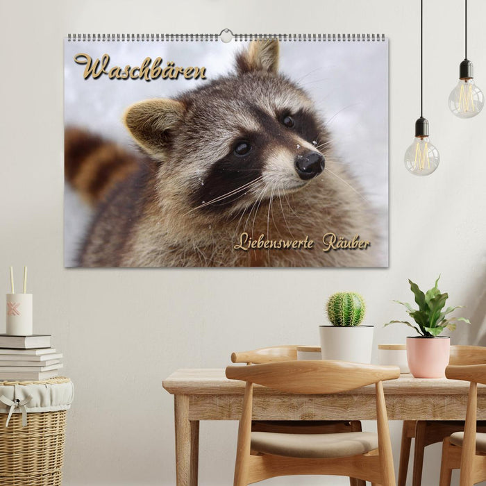 Waschbären (CALVENDO Wandkalender 2026)