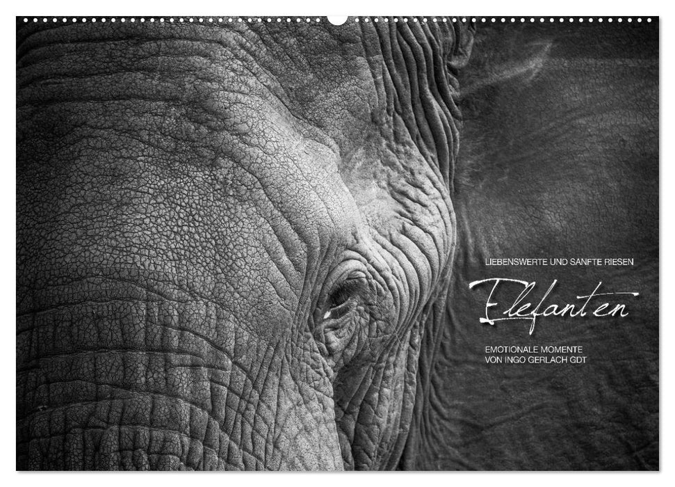 Emotionale Momente: Elefanten in black & white (CALVENDO Wandkalender 2026)