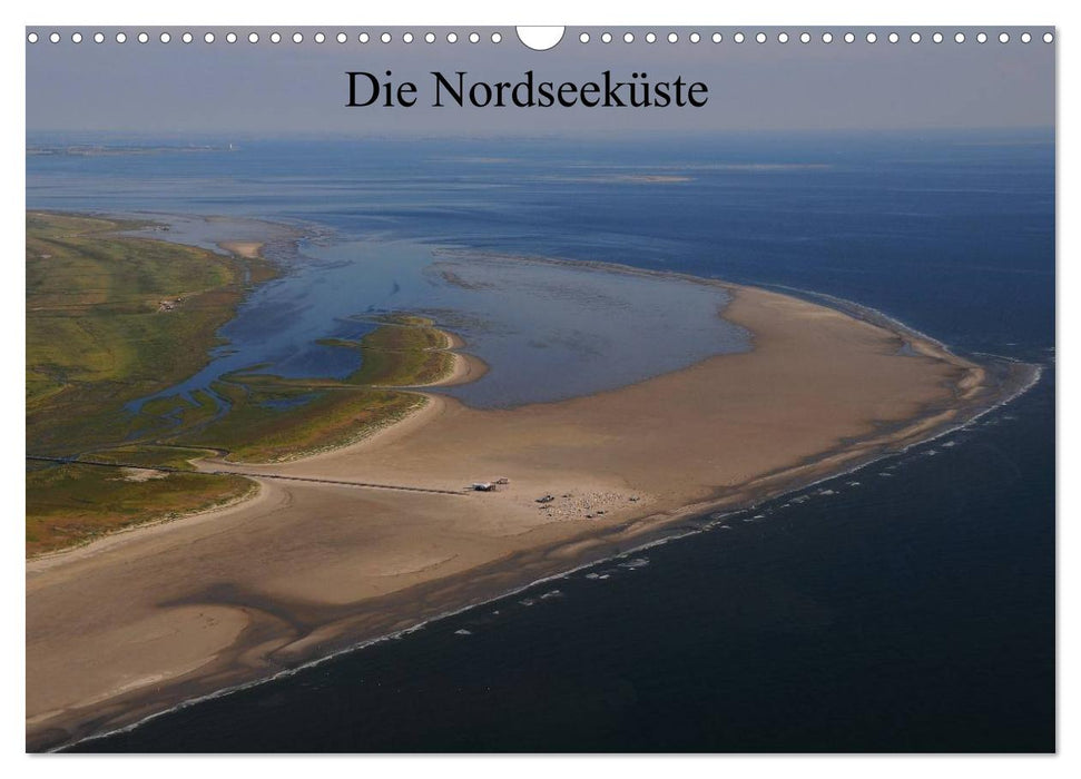 Die Nordseeküste (CALVENDO Wandkalender 2026)