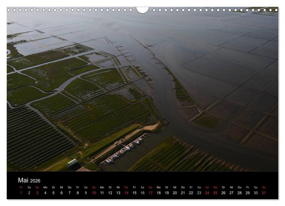 Die Nordseeküste (CALVENDO Wandkalender 2026)