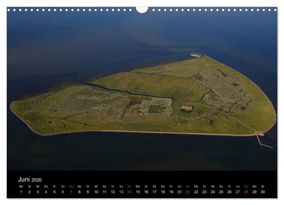 Die Nordseeküste (CALVENDO Wandkalender 2026)