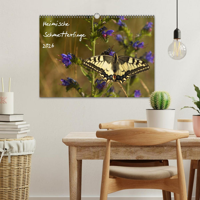 Heimische Schmetterlinge (CALVENDO Wandkalender 2026)