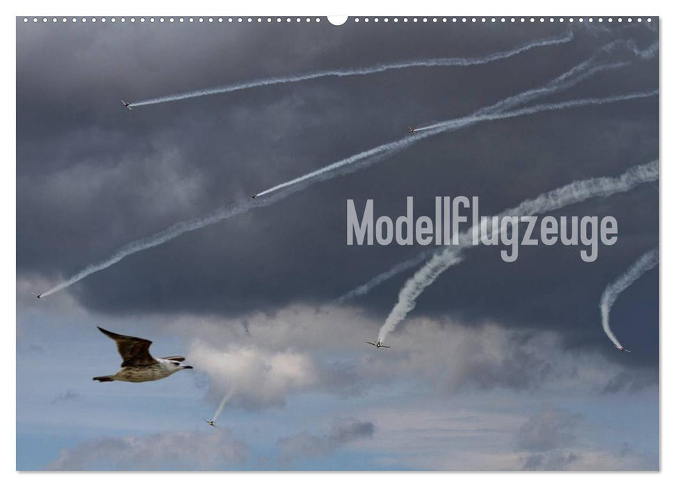 Modellflugzeuge Nr. 1 / 2026 (CALVENDO Wandkalender 2026)