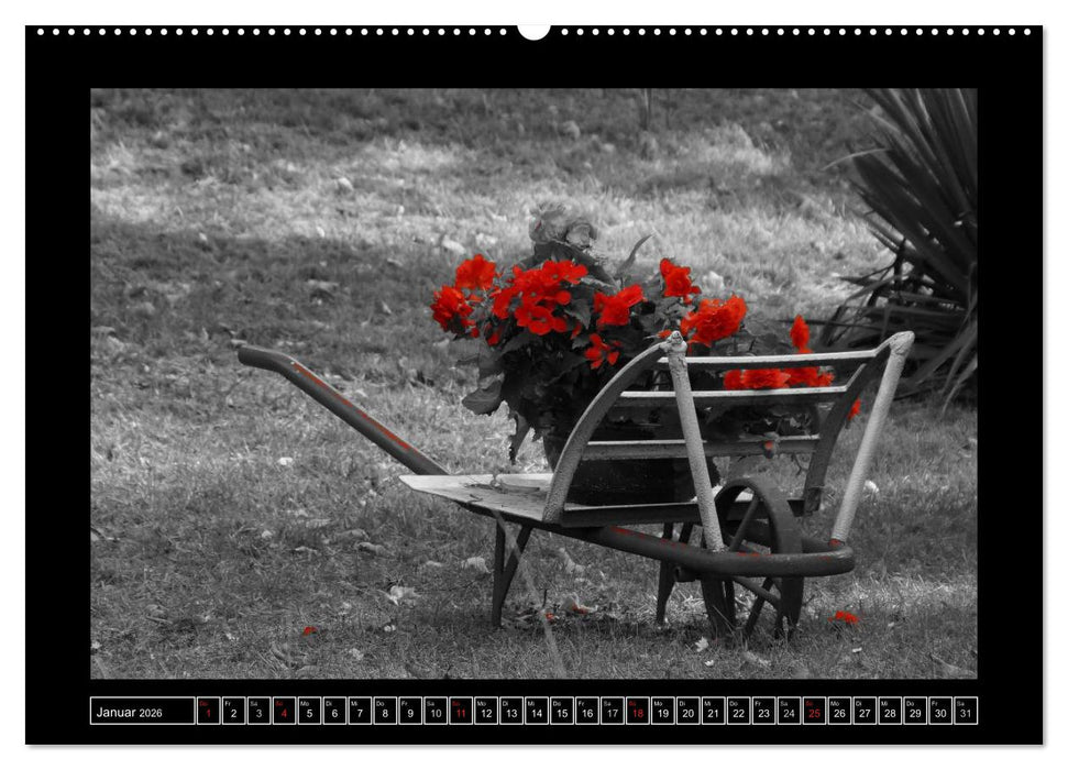 Schwarz-Weiß-Rot (CALVENDO Wandkalender 2026)