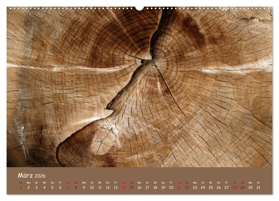 Holz (CALVENDO Wandkalender 2026)