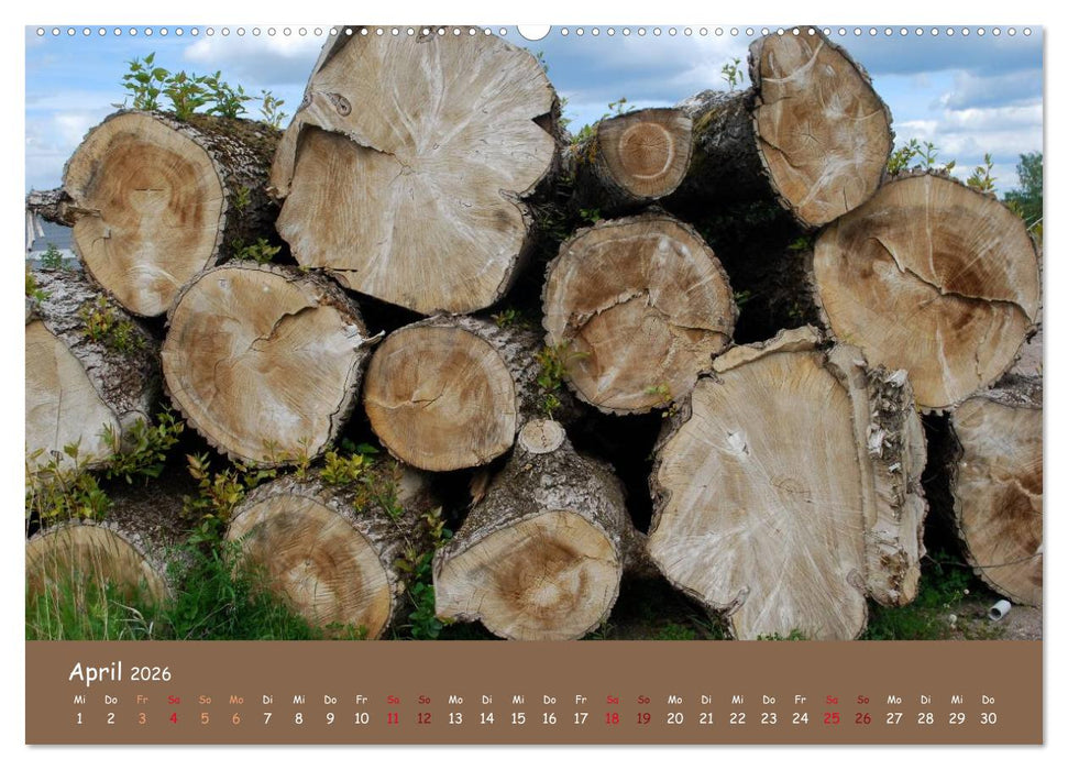 Holz (CALVENDO Wandkalender 2026)