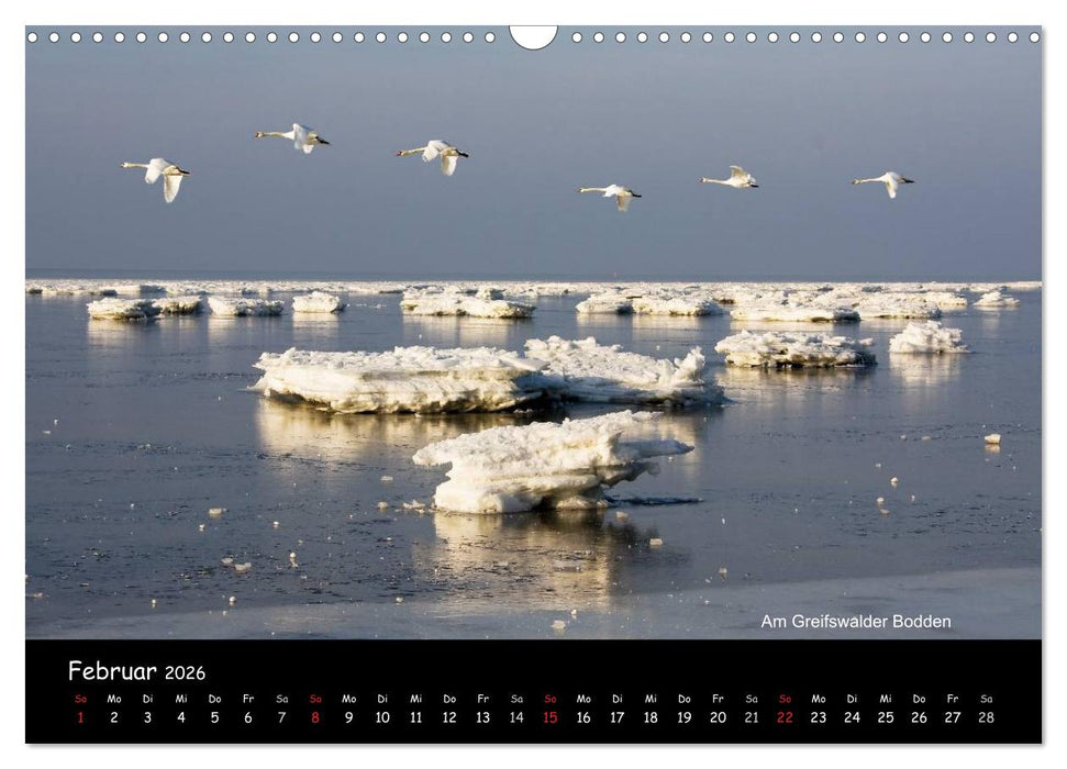 Landschaften im Norden (CALVENDO Wandkalender 2026)