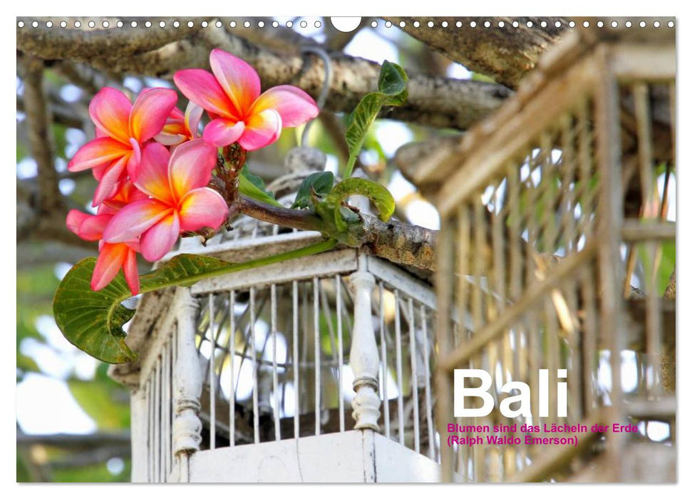 Bali (CALVENDO Wandkalender 2026)