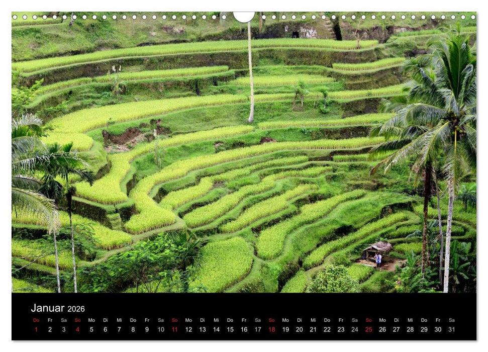 Bali (CALVENDO Wandkalender 2026)