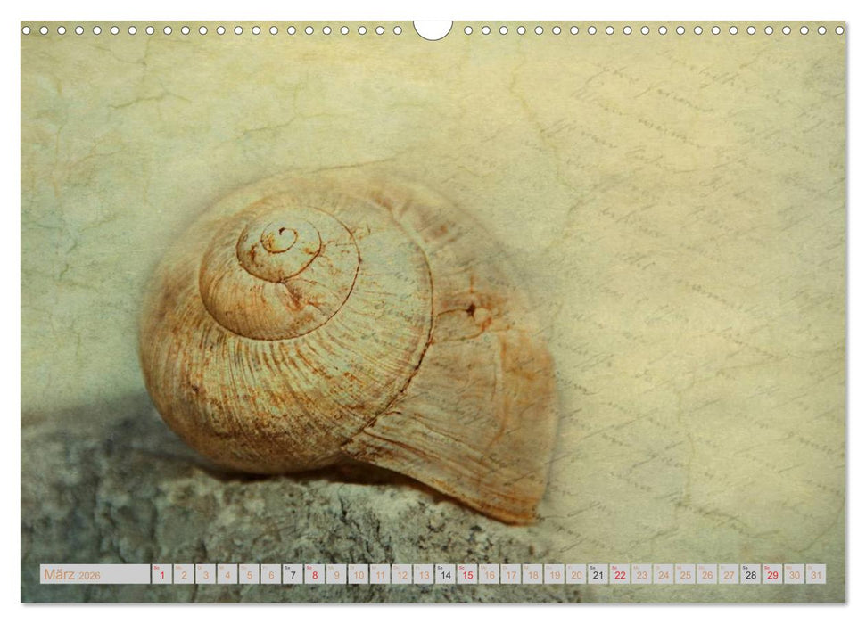 Momente der Stille (CALVENDO Wandkalender 2026)