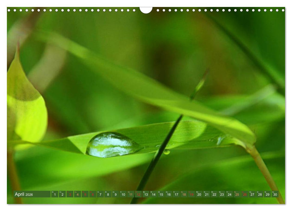 Momente der Stille (CALVENDO Wandkalender 2026)