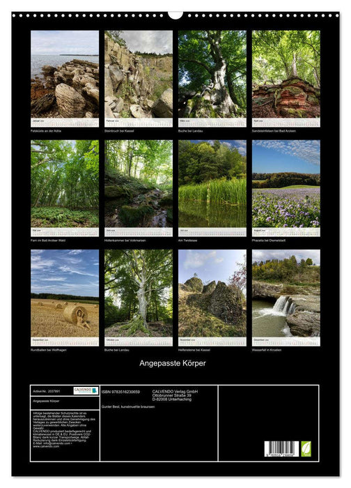 Angepasste Körper (CALVENDO Wandkalender 2026)