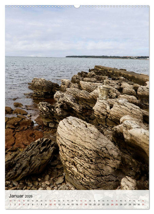 Angepasste Körper (CALVENDO Wandkalender 2026)