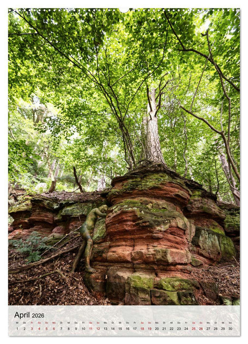 Angepasste Körper (CALVENDO Wandkalender 2026)