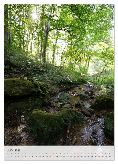 Angepasste Körper (CALVENDO Wandkalender 2026)