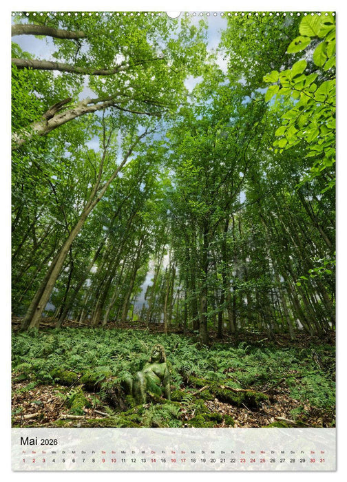 Angepasste Körper (CALVENDO Premium Wandkalender 2026)