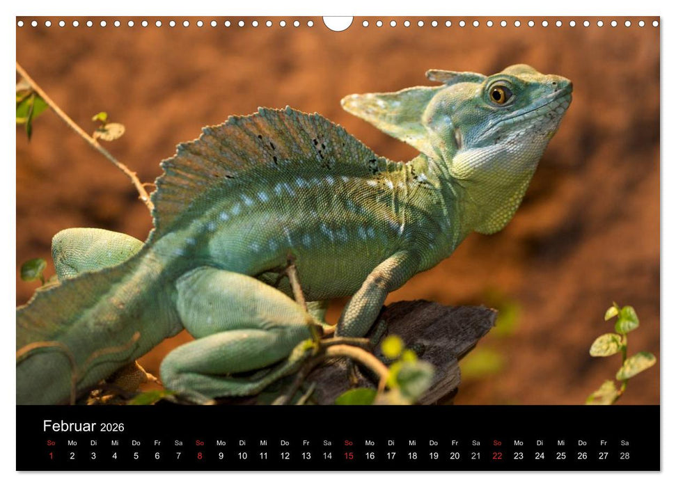 Reptilien & Co. (CALVENDO Wandkalender 2026)