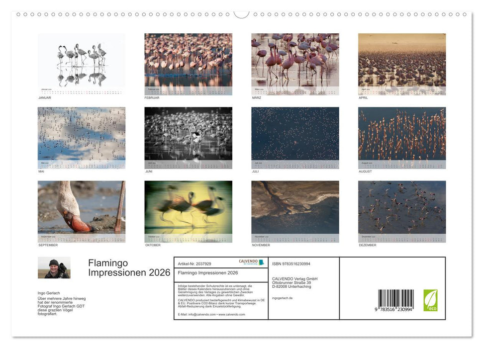 Flamingo Impressionen 2026 (CALVENDO Premium Wandkalender 2026)