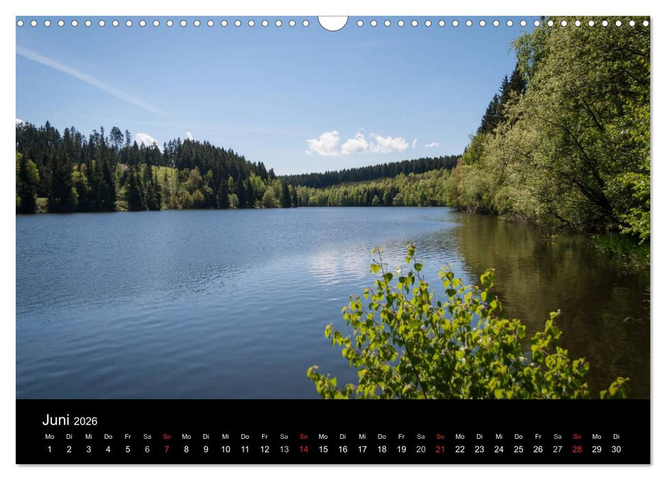 Harz-Bilder (CALVENDO Wandkalender 2026)