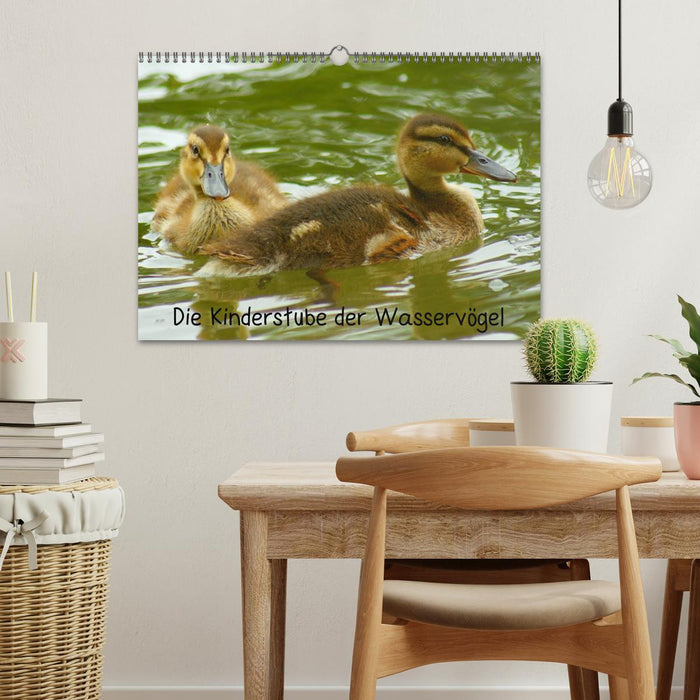 Die Kinderstube der Wasservögel (CALVENDO Wandkalender 2026)