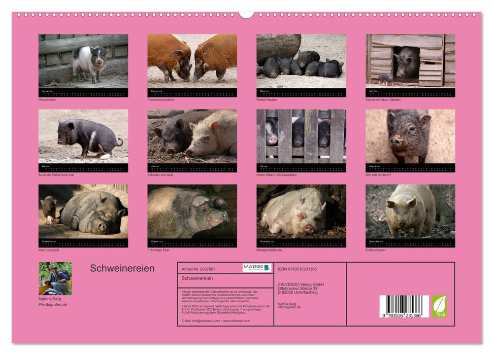 Schweinereien (CALVENDO Premium Wandkalender 2026)