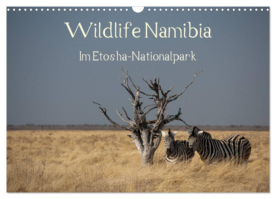 Wildlife Namibia (CALVENDO Wandkalender 2026)