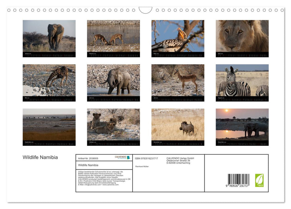 Wildlife Namibia (CALVENDO Wandkalender 2026)