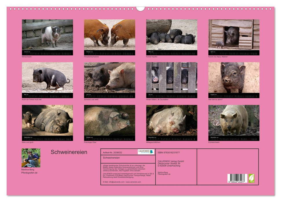 Schweinereien (CALVENDO Wandkalender 2026)