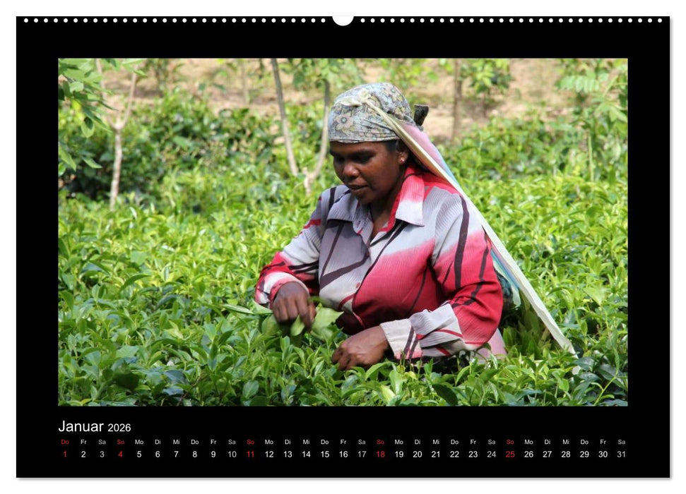 Sri Lanka Impressionen (CALVENDO Premium Wandkalender 2026)