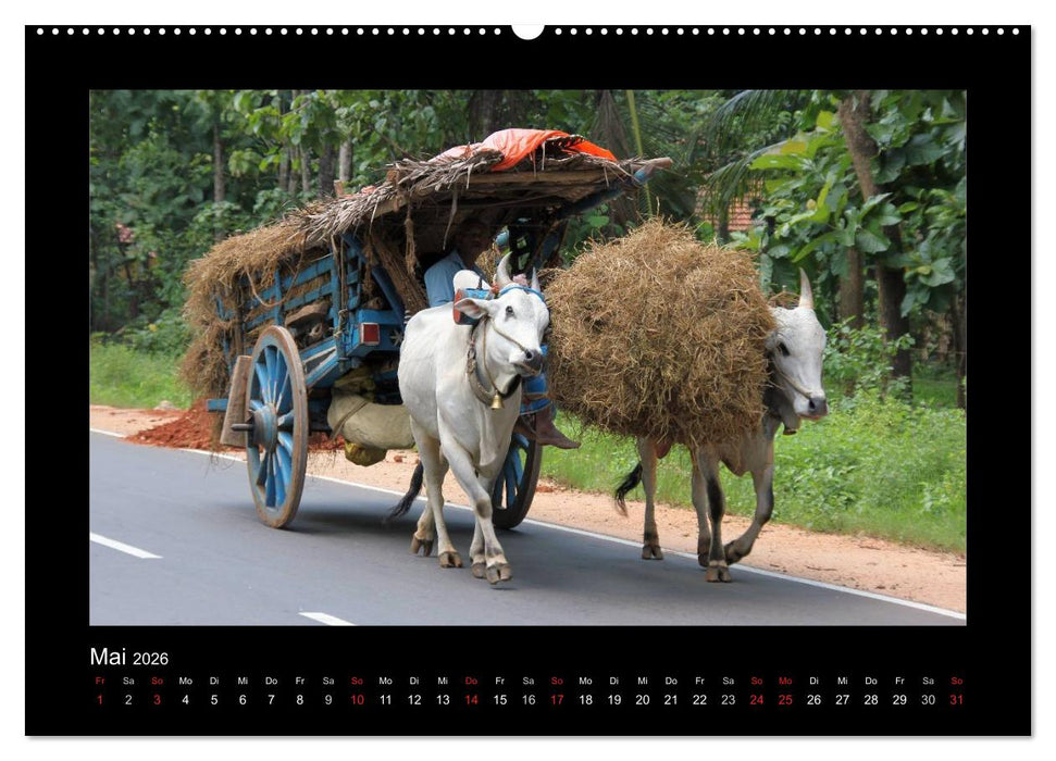 Sri Lanka Impressionen (CALVENDO Premium Wandkalender 2026)