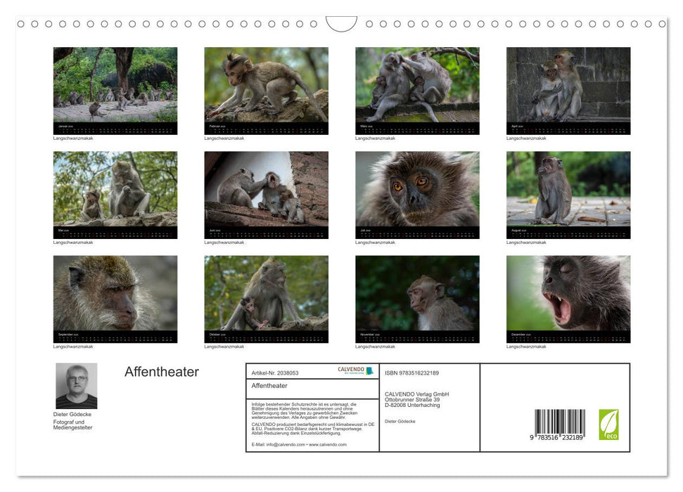 Affentheater (CALVENDO Wandkalender 2026)