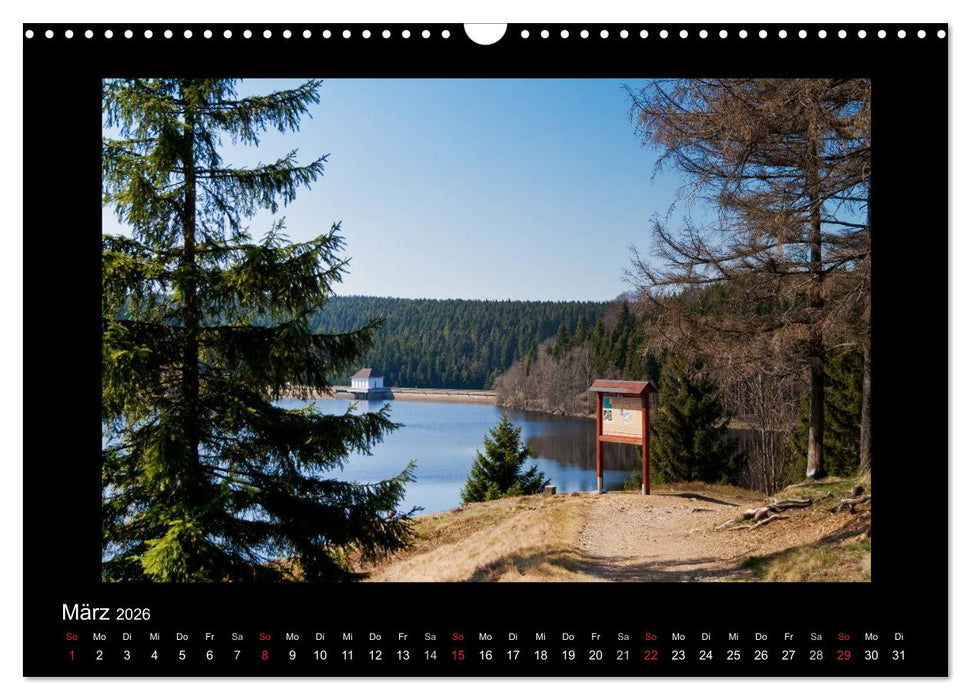 Impressionen aus dem Harz (CALVENDO Wandkalender 2026)