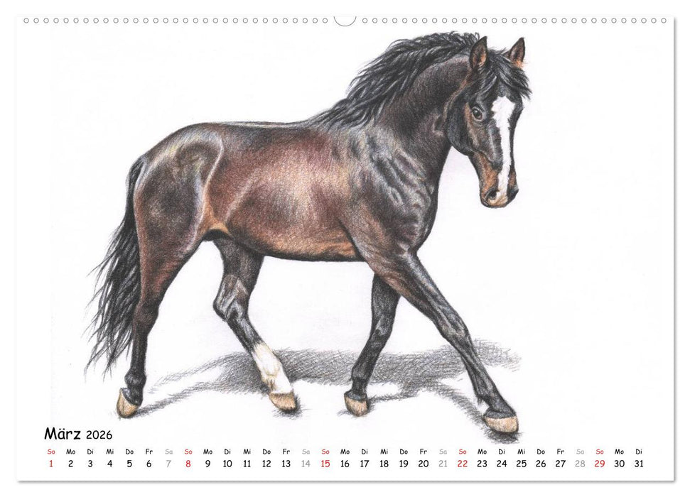 Arts & Horses (CALVENDO Wandkalender 2026)