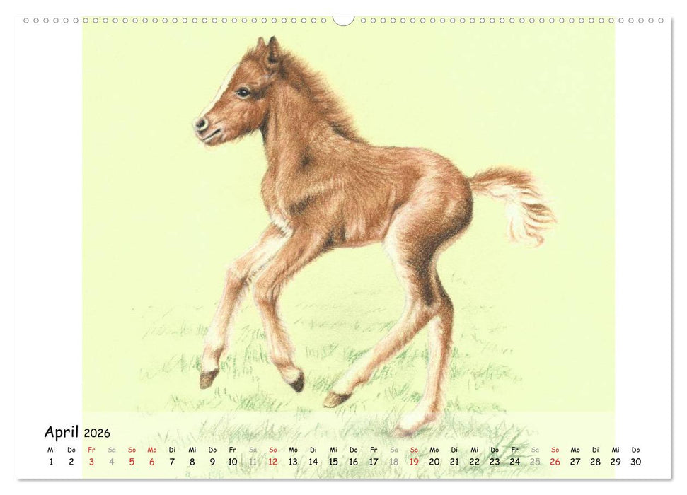 Arts & Horses (CALVENDO Wandkalender 2026)