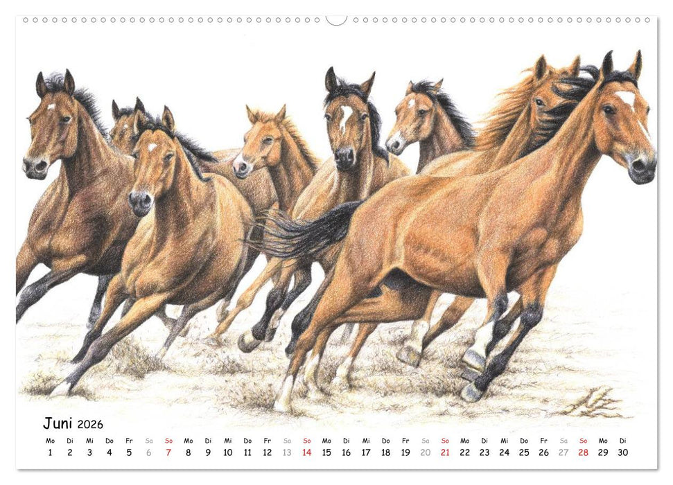 Arts & Horses (CALVENDO Wandkalender 2026)