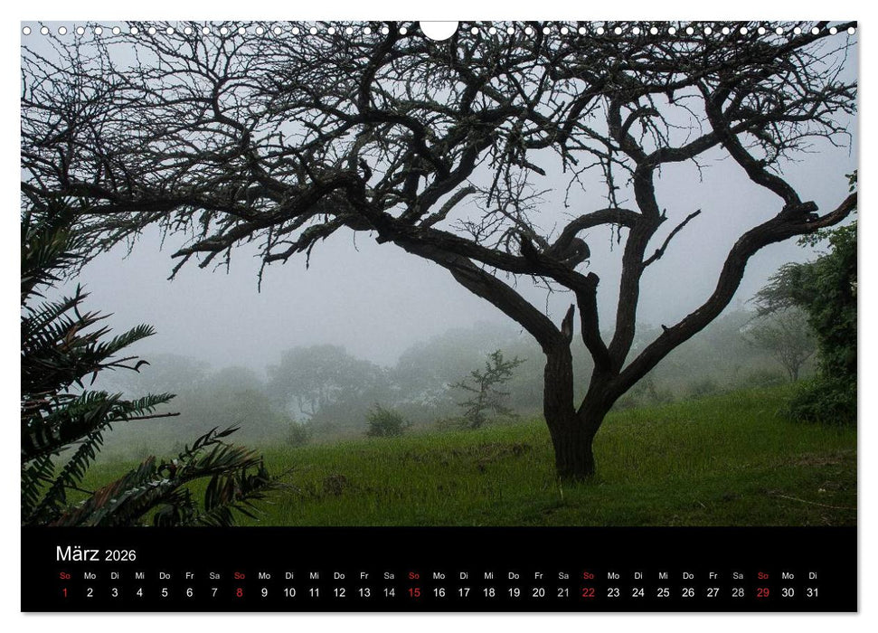 Südafrika (CALVENDO Wandkalender 2026)
