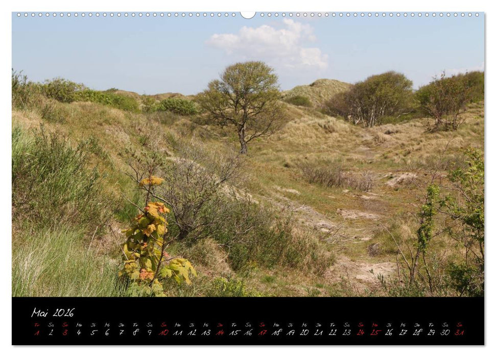 Baltrum (CALVENDO Wandkalender 2026)