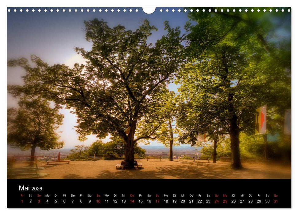 Freiburger Impressionen (CALVENDO Wandkalender 2026)