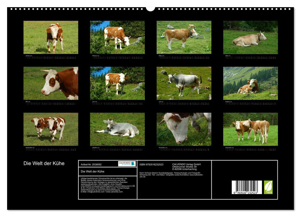 Die Welt der Kühe (CALVENDO Premium Wandkalender 2026)